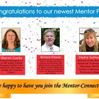 Congratulations to the 2020 selected Mentor Fellows